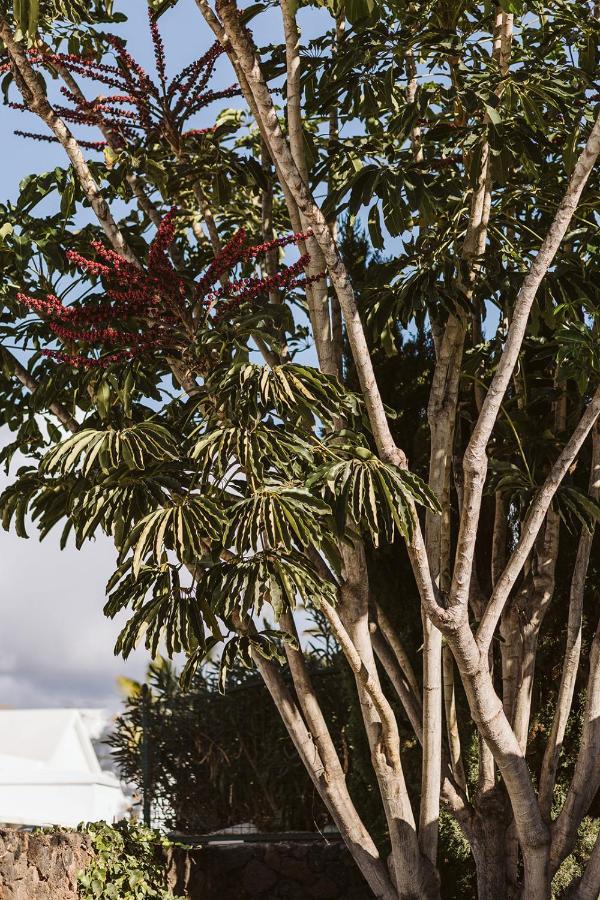 La Manana Villa Puerto del Carmen  Eksteriør billede